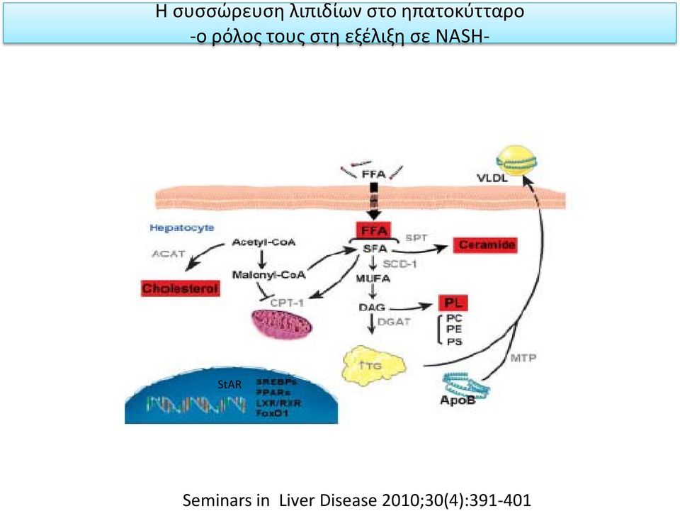 εξέλιξη σε NASH- StAR Seminars