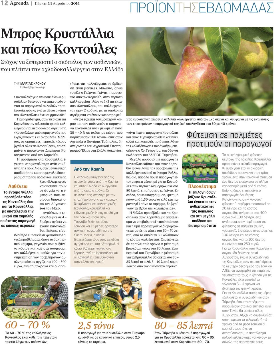 Για παράδειγµα, στην περιοχή της Κορινθίας την τελευταία τριετία καλλιεργούνται περισσότερα στρέµµατα «Κρυστάλλια» από παραγωγούς που εκριζώνουν τις «Κοντούλες».