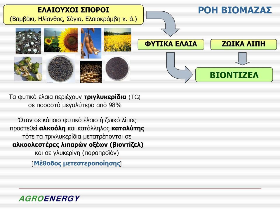 ποσοστό μεγαλύτερο από 98% Όταν σε κάποιο φυτικό έλαιο ή ζωικό λίπος προστεθεί αλκοόλη και κατάλληλος