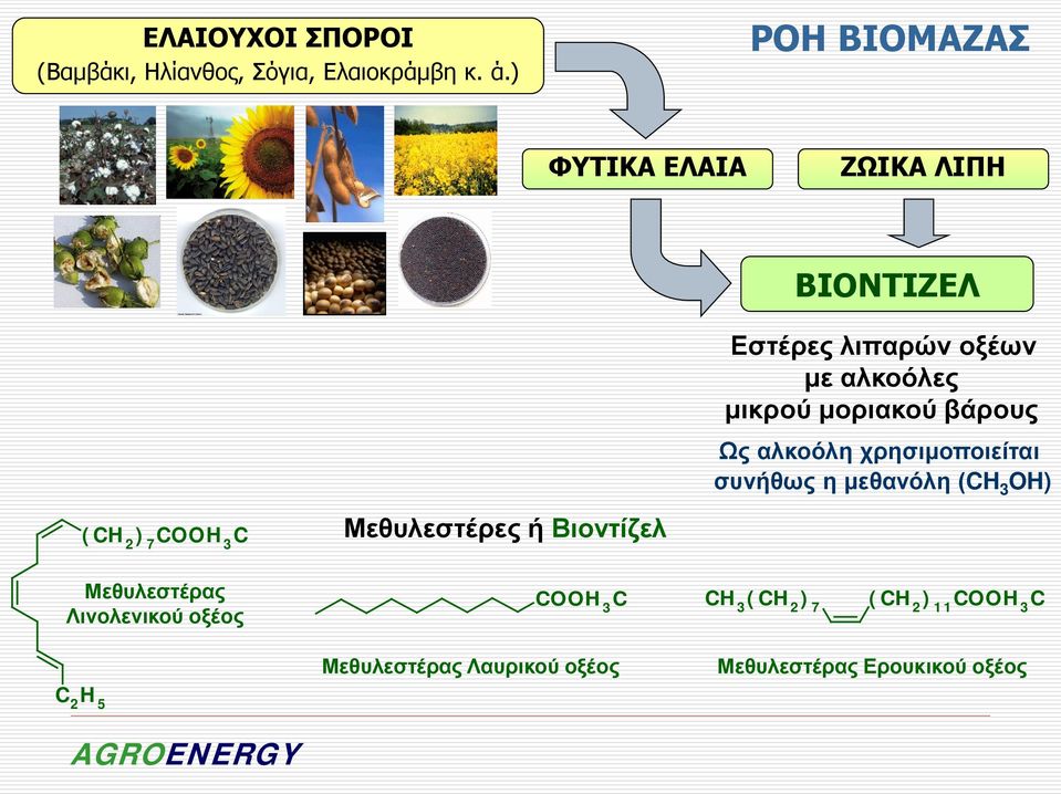 βάρους Ως αλκοόλη χρησιμοποιείται συνήθως η μεθανόλη (CH 3 H) (CH 2 ) 7 CH 3 C Μεθυλεστέρες ή