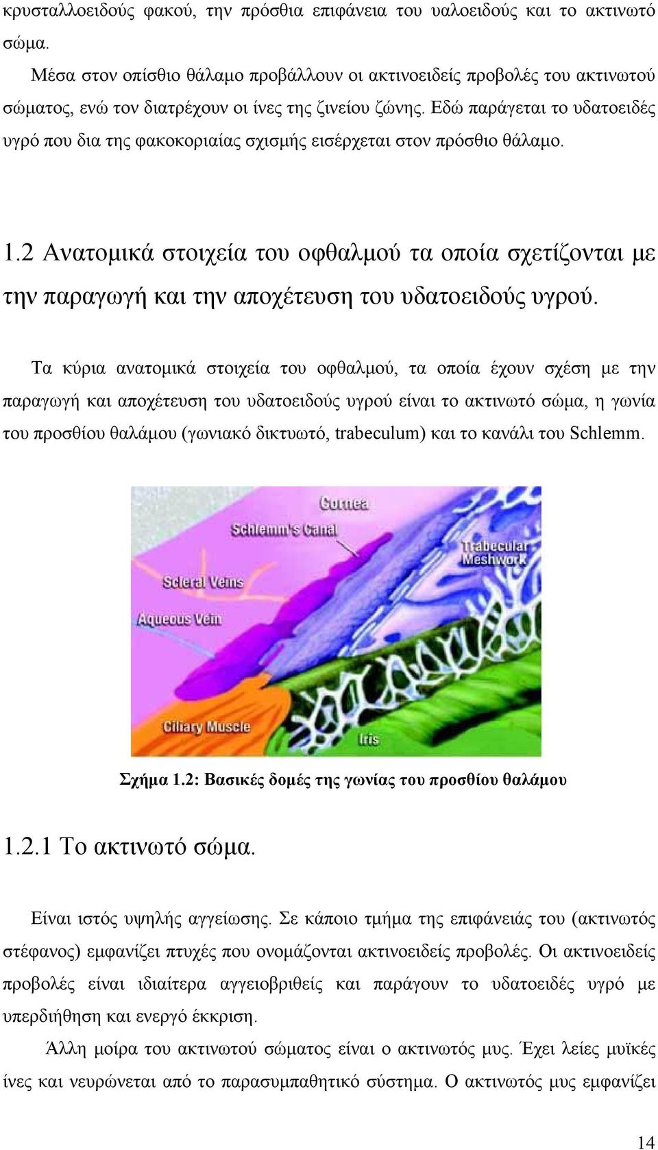 Εδώ παράγεται το υδατοειδές υγρό που δια της φακοκοριαίας σχισμής εισέρχεται στον πρόσθιο θάλαμο. 1.