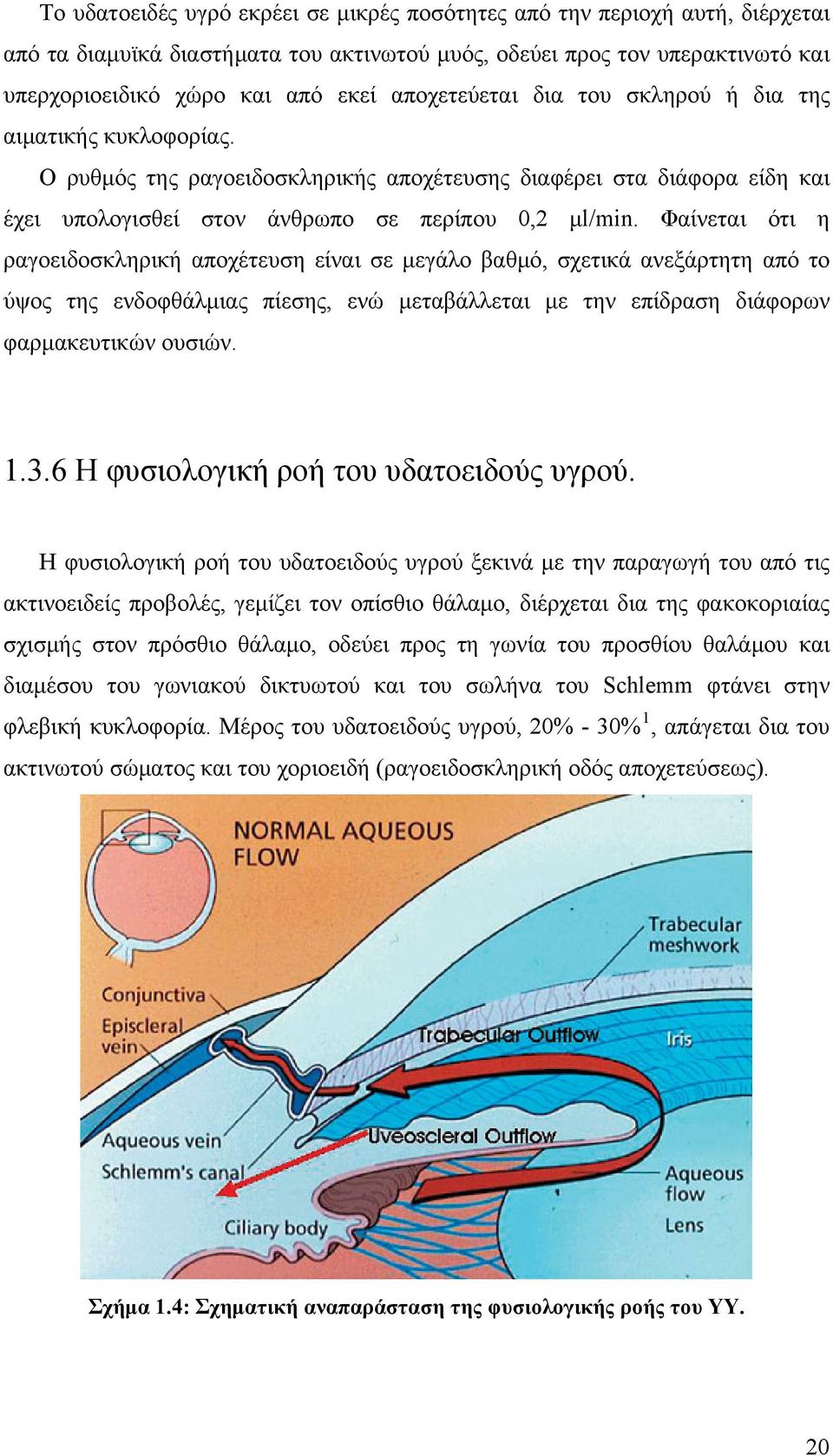 Φαίνεται ότι η ραγοειδοσκληρική αποχέτευση είναι σε μεγάλο βαθμό, σχετικά ανεξάρτητη από το ύψος της ενδοφθάλμιας πίεσης, ενώ μεταβάλλεται με την επίδραση διάφορων φαρμακευτικών ουσιών. 1.3.