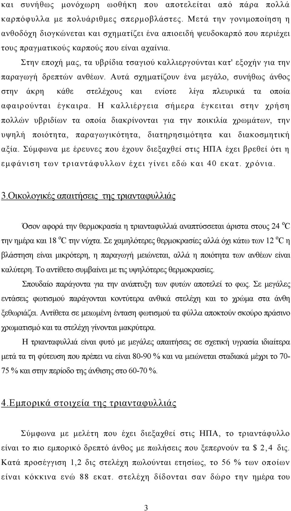 Στην εποχή μας, τα υβρίδια τσαγιού καλλιεργούνται κατ' εξοχήν για την παραγωγή δρεπτών ανθέων.