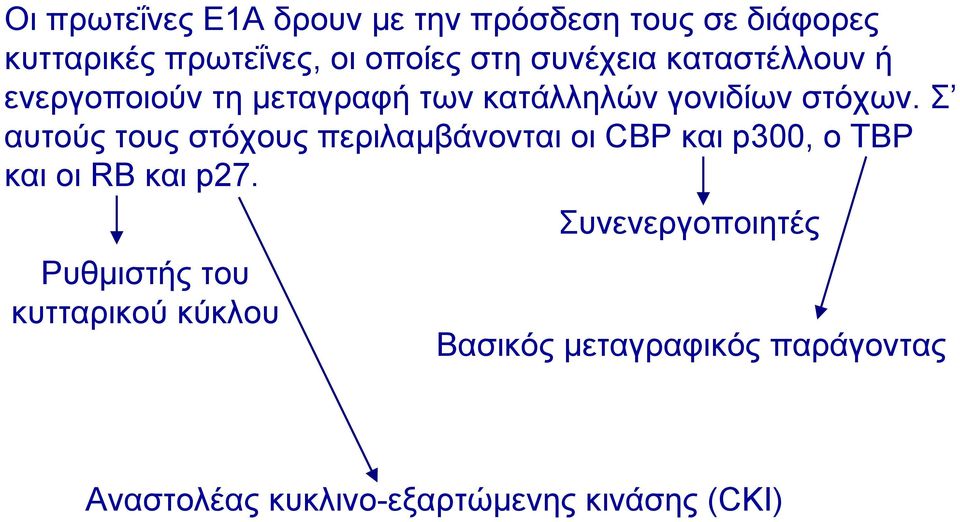 Σ αυτούς τους στόχους περιλαµβάνονται οι CBP και p300, ο TBP και οι RB και p27.