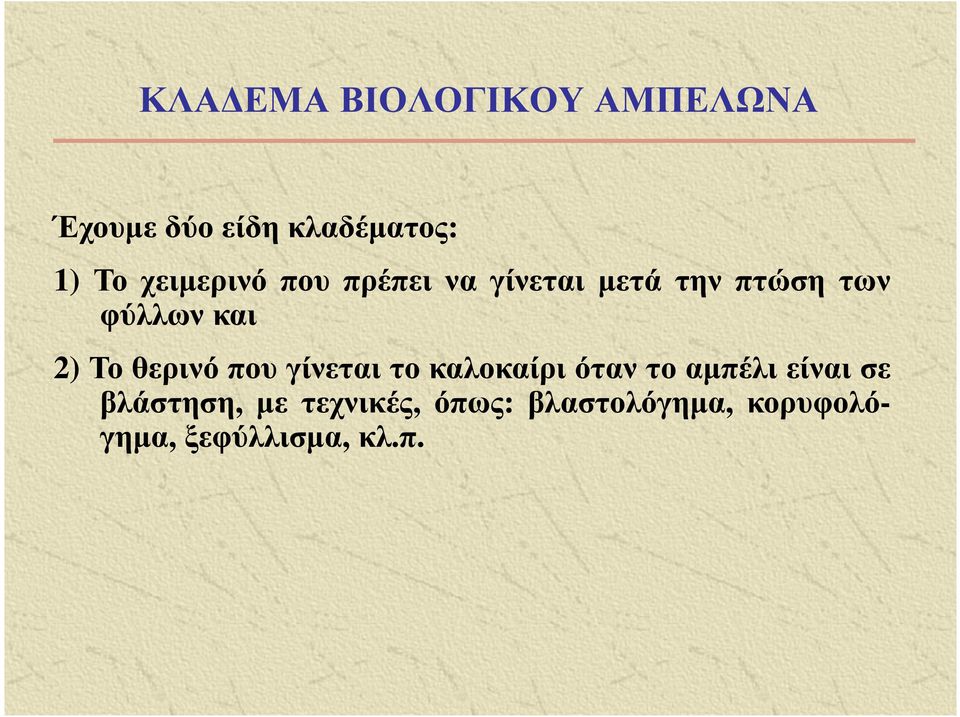 Το θερινό που γίνεται το καλοκαίρι όταν το αµπέλι είναι σε