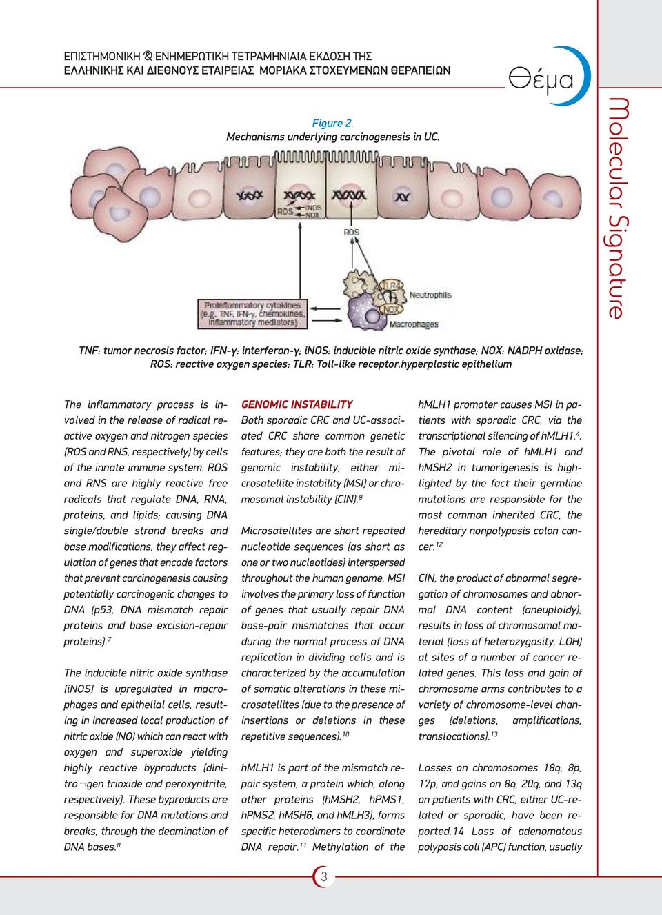 hyperplastic epithelium The inflammatory process is involved in the release of radical reactive oxygen and nitrogen species (ROS and RNS, respectively) by cells of the innate immune system.