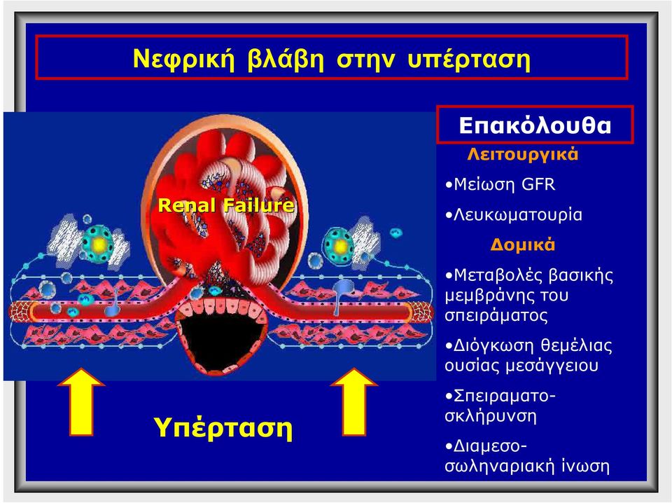 Μεταβολές βασικής µεµβράνης του σπειράµατος ιόγκωση