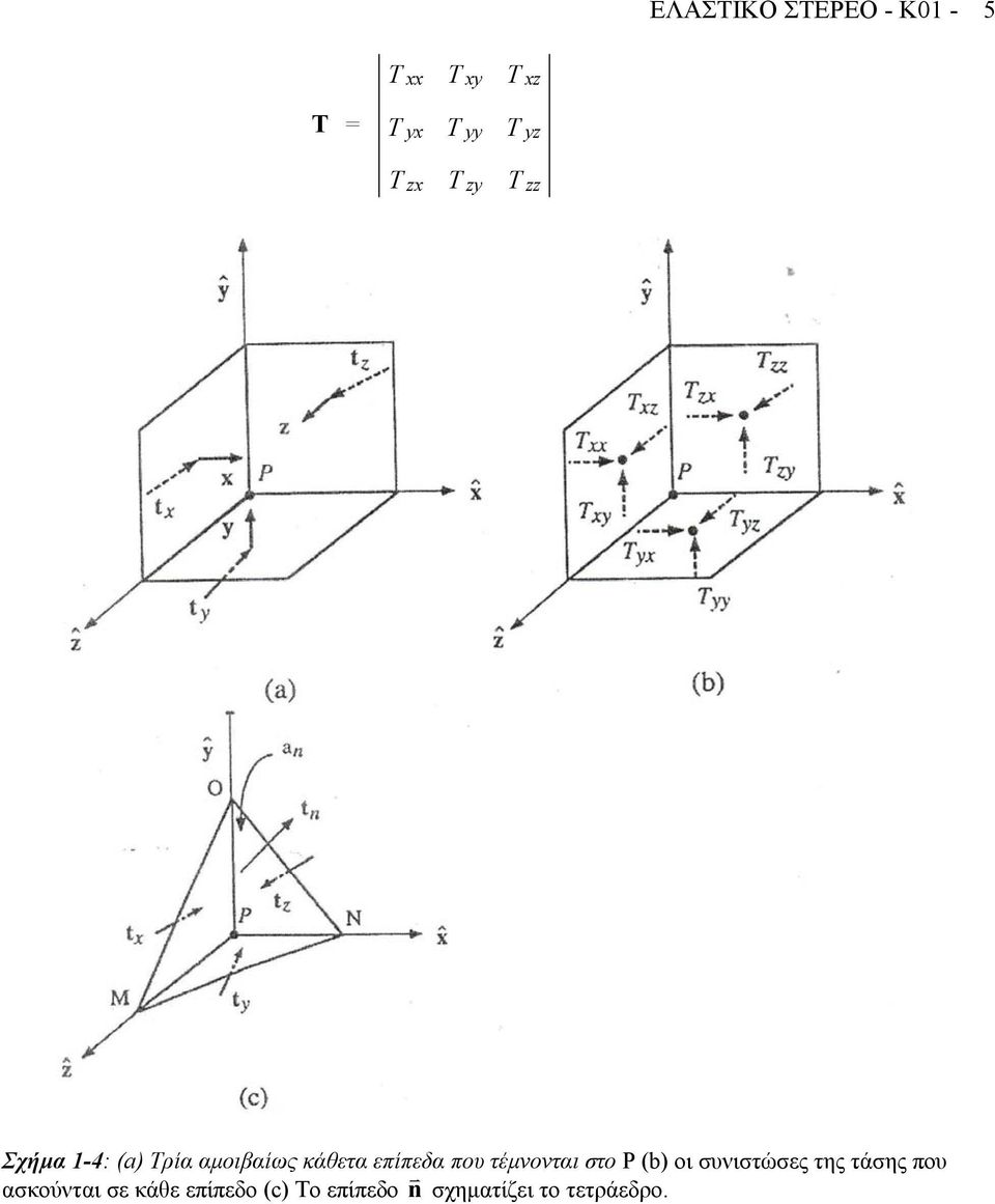 P (b) οι συνιστώσες της τάσης που σκούντι σε κάθε
