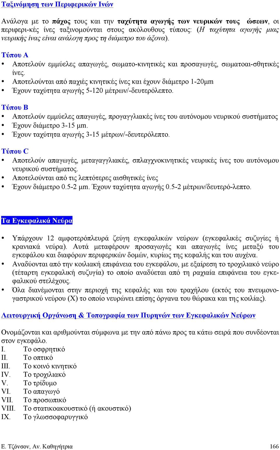 Αποτελούνται από παχιές κινητικές ίνες και έχουν διάµετρο 1-20µm Έχουν ταχύτητα αγωγής 5-120 µέτρων/-δευτερόλεπτο.