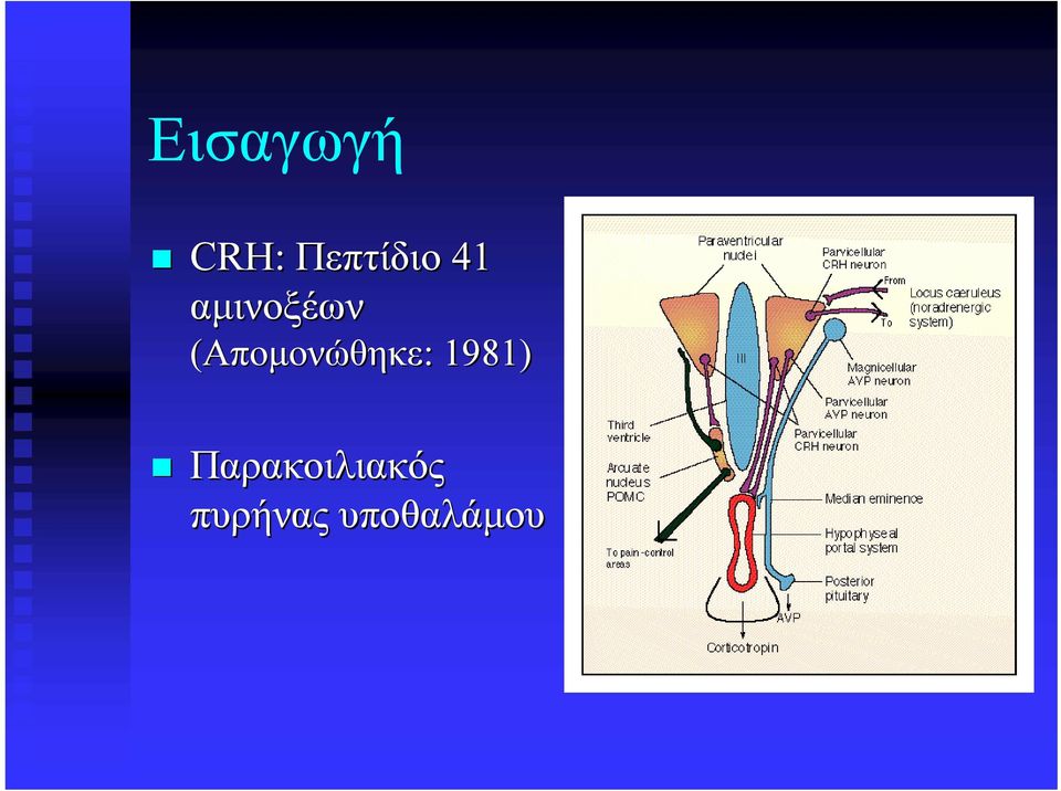 (Απομονώθηκε: 1981)