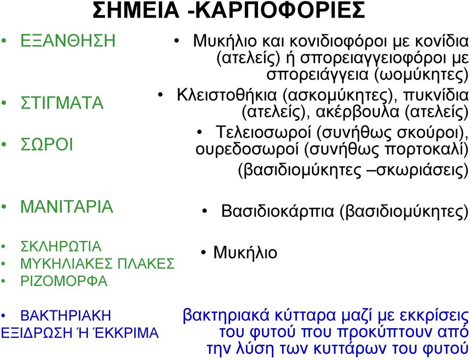 (συνήθως πορτοκαλί) (βασιδιομύκητες μ η ς σκωριάσεις) ρ ΜΑΝΙΤΑΡΙΑ ΣΚΛΗΡΩΤΙΑ ΜΥΚΗΛΙΑΚΕΣ ΠΛΑΚΕΣ ΡΙΖΟΜΟΡΦΑ Βασιδιοκάρπια