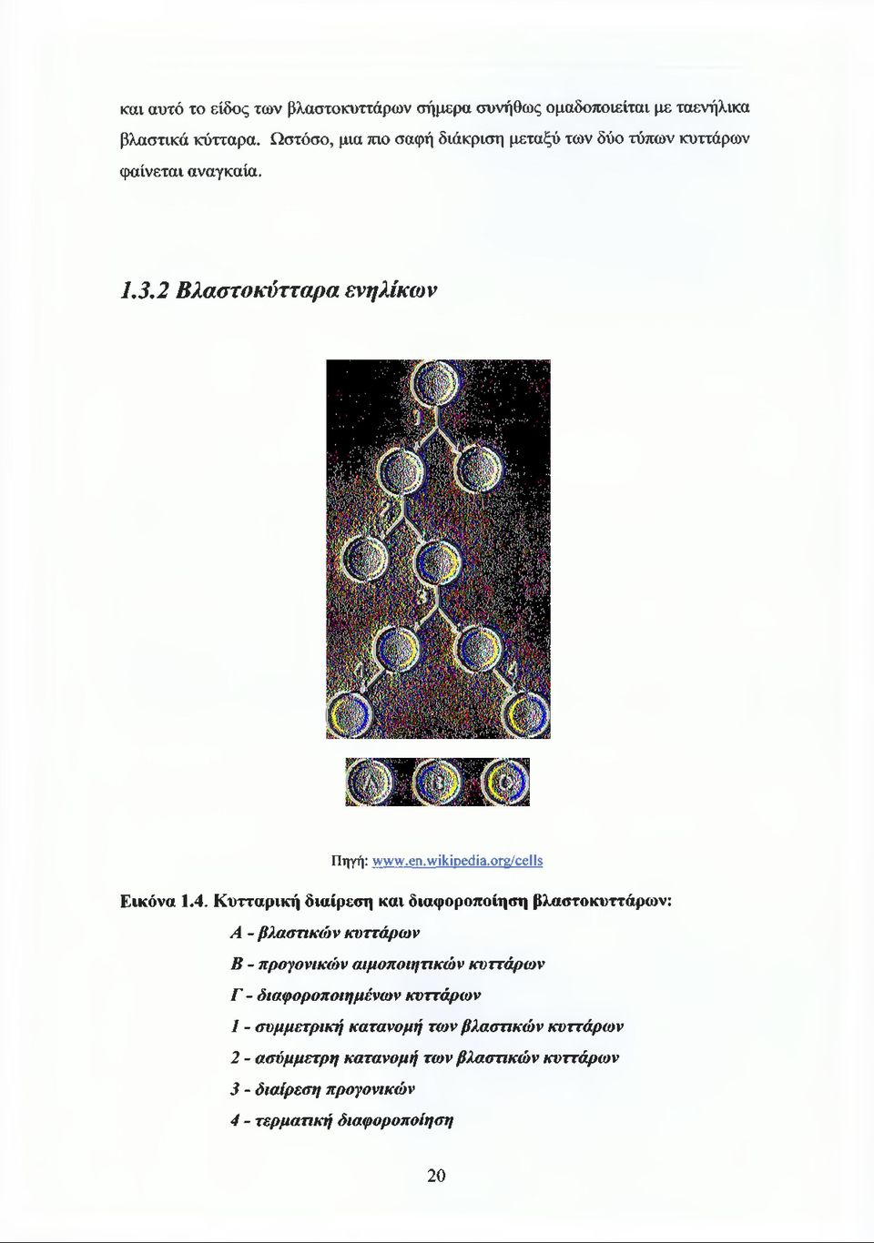 org/cells Εικόνα 1.4.