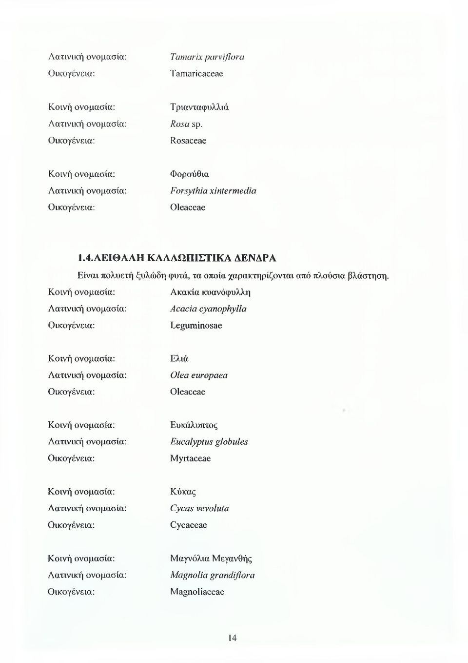 ΑΕΙΘΑΛΗ ΚΑΛΛΩΠΙΣΤΙΚΑ ΔΕΝΑΡΑ Είναι πολυετή ξυλώδη φυτά, τα οποία χαρακτηρίζονται από πλούσια βλάστηση.