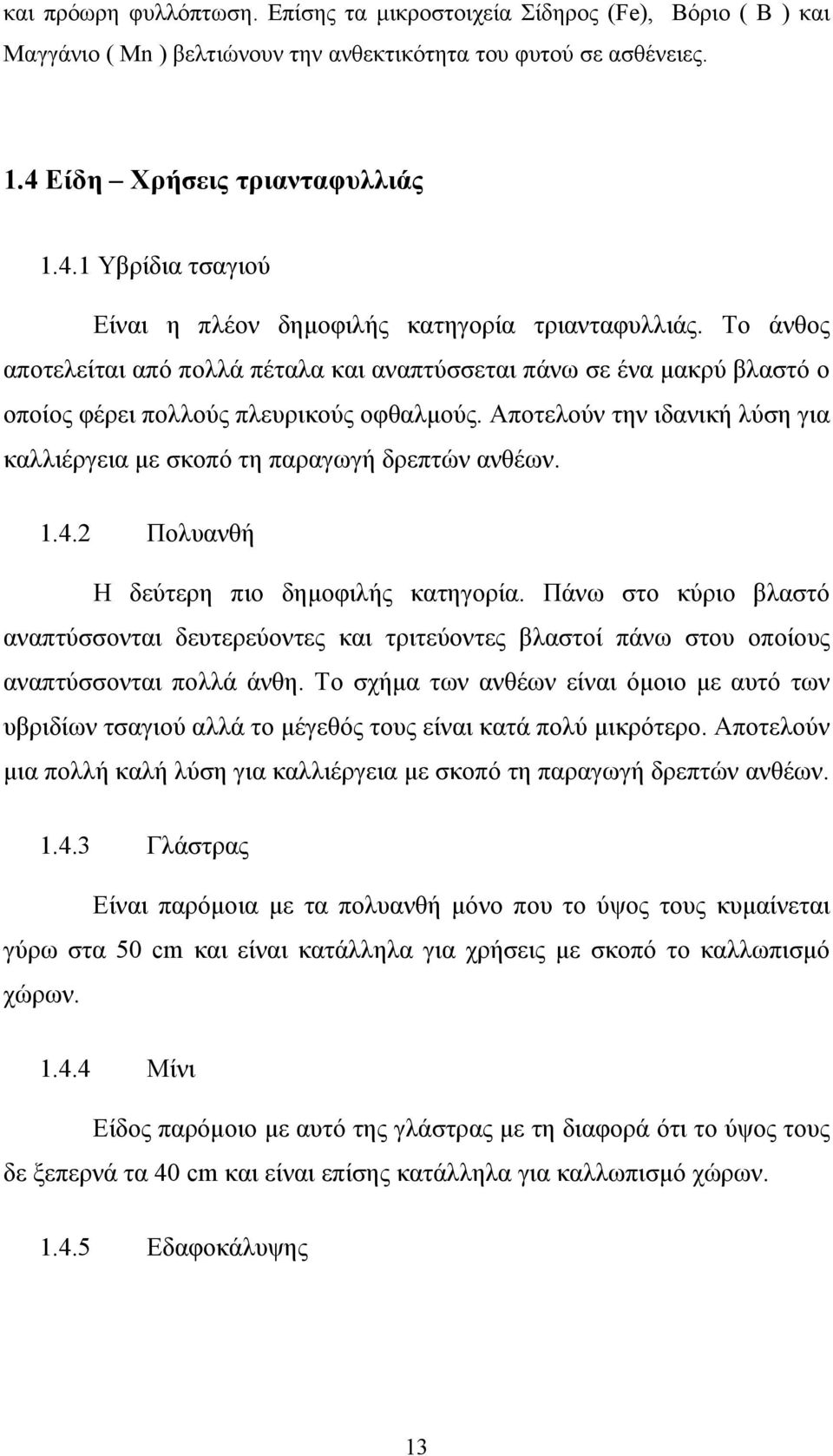 Το άνθος αποτελείται από πολλά πέταλα και αναπτύσσεται πάνω σε ένα μακρύ βλαστό ο οποίος φέρει πολλούς πλευρικούς οφθαλμούς.