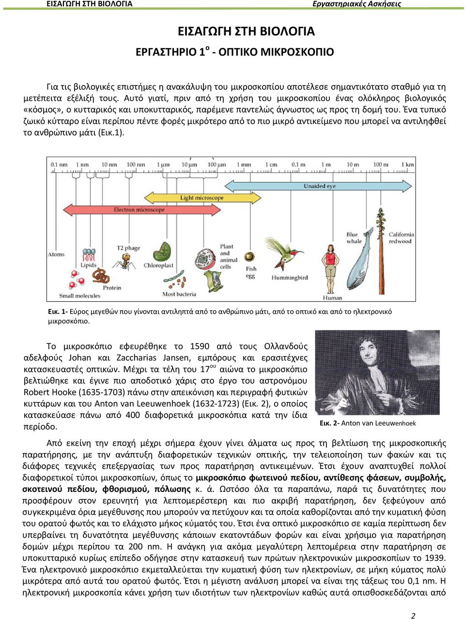 Ένα τυπικό ζωικό κύτταρο είναι περίπου πέντε φορές μικρότερο από το πιο μικρό αντικείμενο που μπορεί να αντιληφθεί το ανθρώπινο μάτι (Εικ.1). Εικ.