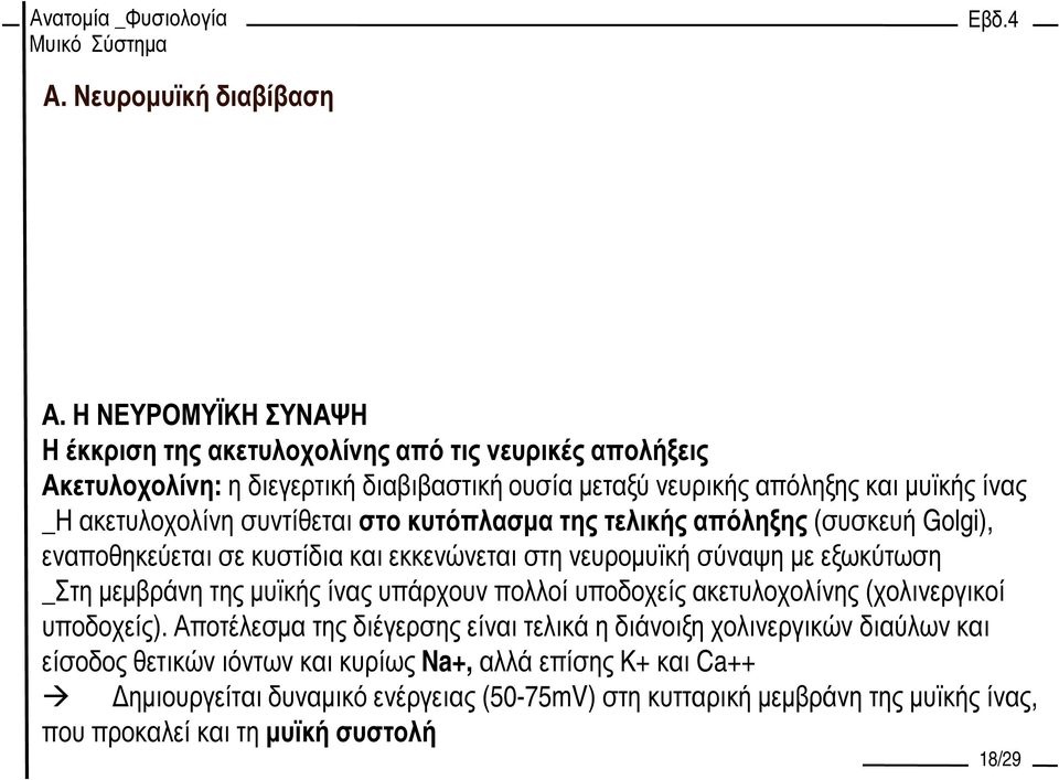 ακετυλοχολίνη συντίθεται στο κυτόπλασµα της τελικής απόληξης (συσκευή Golgi), εναποθηκεύεται σε κυστίδια και εκκενώνεται στη νευροµυϊκή σύναψη µε εξωκύτωση _Στη µεµβράνη της