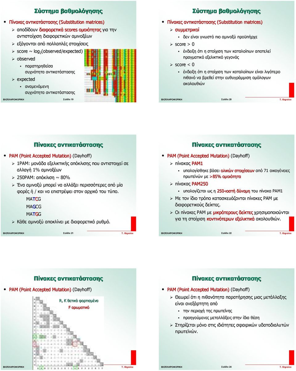 αποτελεί πραγµατικό εξελικτικό γεγονός score < 0 ένδειξη ότι η στοίχιση των καταλοίπων είναι λιγότερο πιθανό να βρεθεί στην ευθυγράµµιση οµόλογων ακολουθιών Σελίδα 19 Σελίδα 20 PAM (Point Accepted