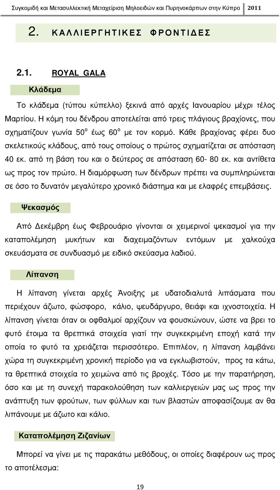 Κάθε βραχίονας φέρει δυο σκελετικούς κλάδους, από τους οποίους ο πρώτος σχηµατίζεται σε απόσταση 40 εκ. από τη βάση του και ο δεύτερος σε απόσταση 60-80 εκ. και αντίθετα ως προς τον πρώτο.