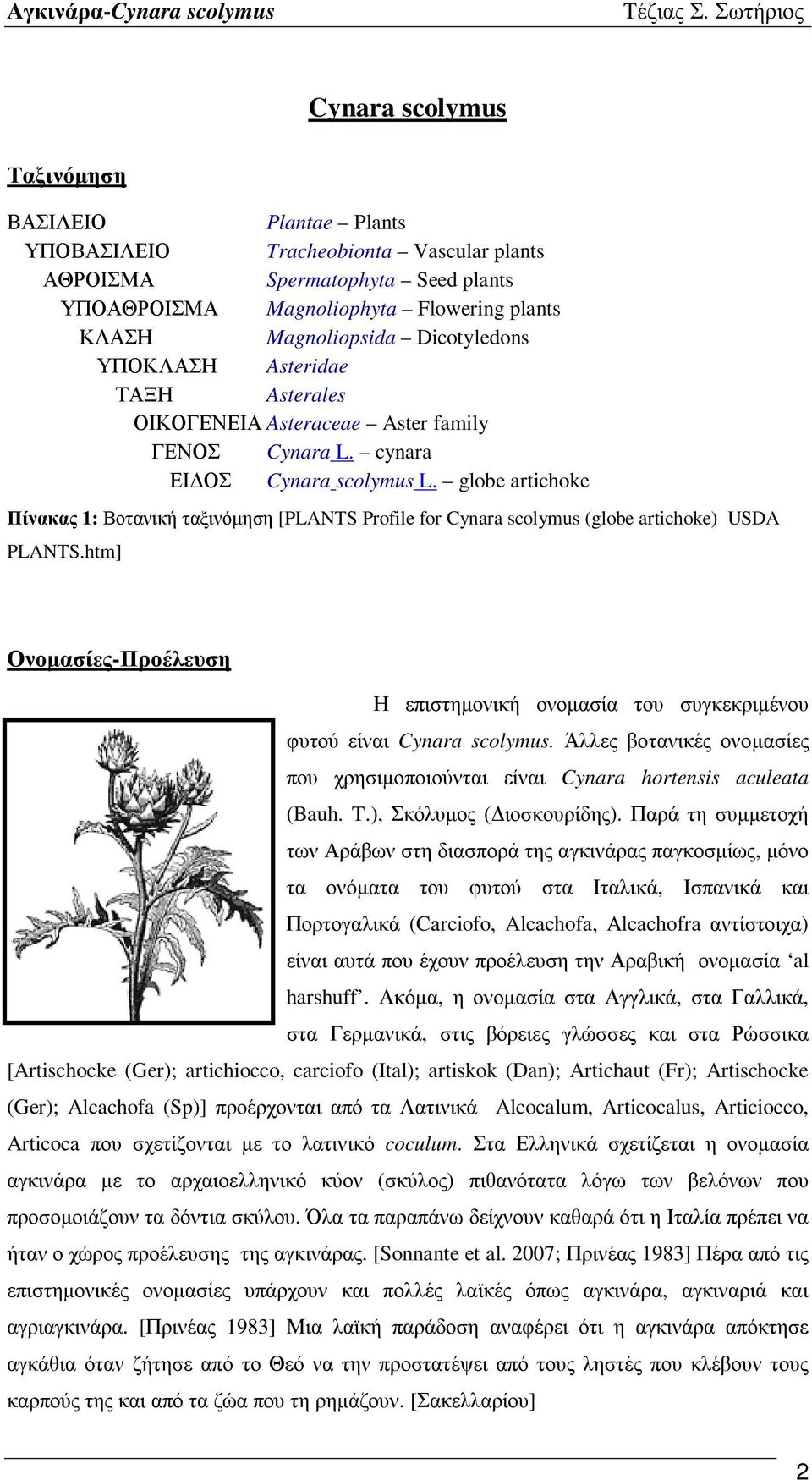 globe artichoke Πίνακας 1: Βοτανική ταξινόμηση [PLANTS Profile for Cynara scolymus (globe artichoke) USDA PLANTS.