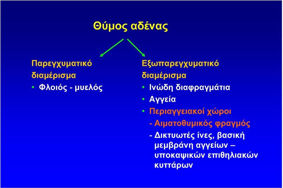 Περιαγγειακοί χώροι - Αιµατοθυµικός φραγµός - ικτυωτές