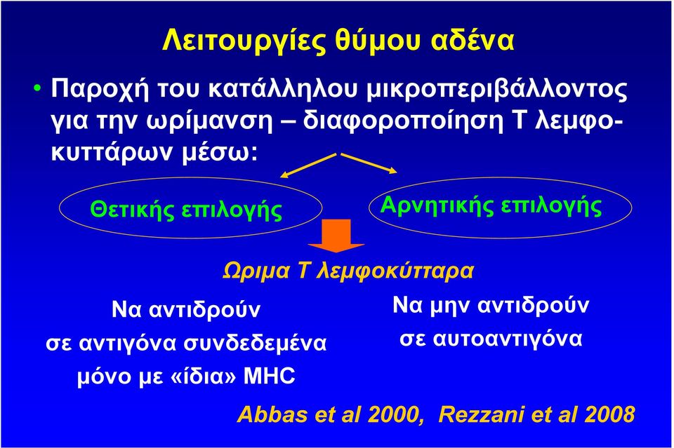 επιλογής Ωριµα Τ λεµφοκύτταρα Να αντιδρούν Να µην αντιδρούν σε αντιγόνα