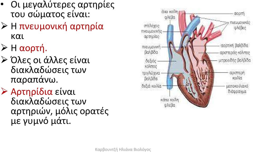 Όλεςοιάλλεςείναι διακλαδώσεις των παραπάνω.