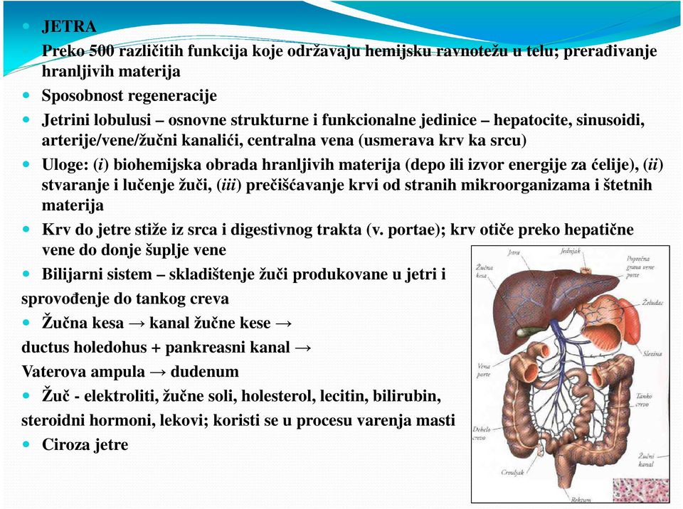 lučenje žuči, (iii) prečišćavanje krvi od stranih mikroorganizama i štetnih materija Krv do jetre stiže iz srca i digestivnog trakta (v.