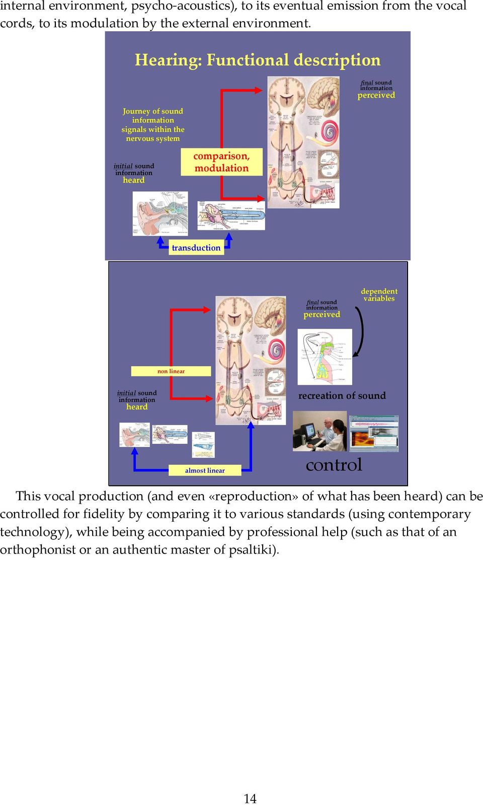 transduction final sound information perceived dependent variables non linear initial sound information heard recreation of sound almost linear control This vocal production (and even