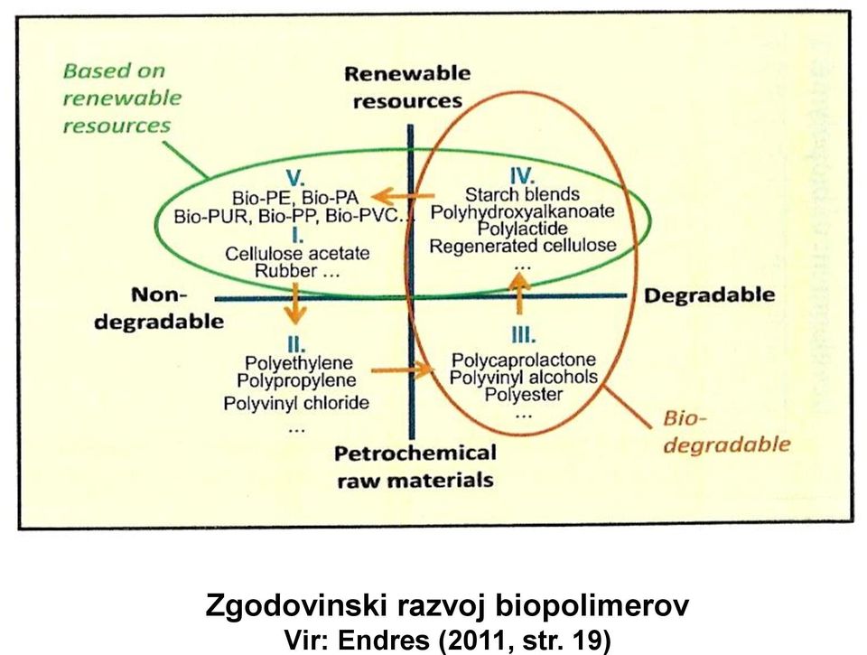 biopolimerov