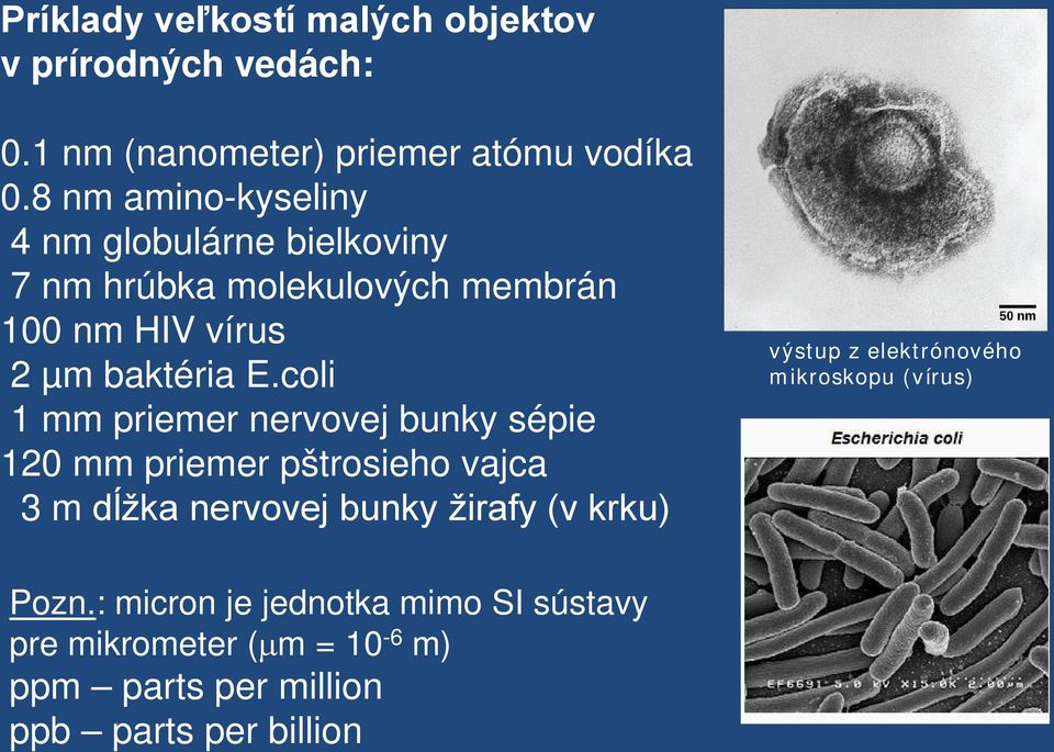 coli 1 mm priemer nervovej bunky sépie 120 mm priemer pštrosieho vajca 3 m dĺžka nervovej bunky žirafy (v krku) výstup