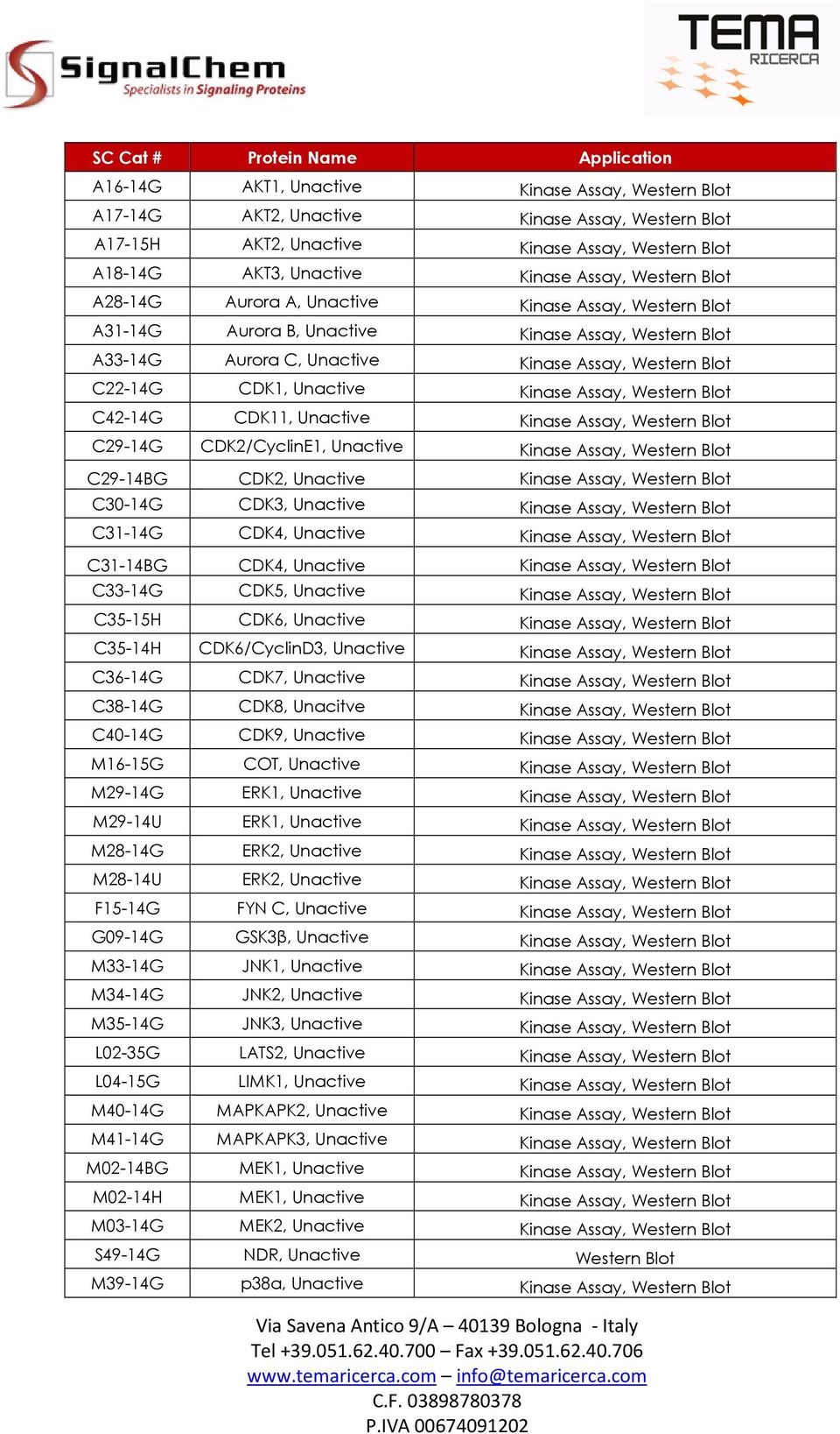 Western Blot C42-14G CDK11, Unactive Kinase Assay, Western Blot C29-14G CDK2/CyclinE1, Unactive Kinase Assay, Western Blot C29-14BG CDK2, Unactive Kinase Assay, Western Blot C30-14G CDK3, Unactive