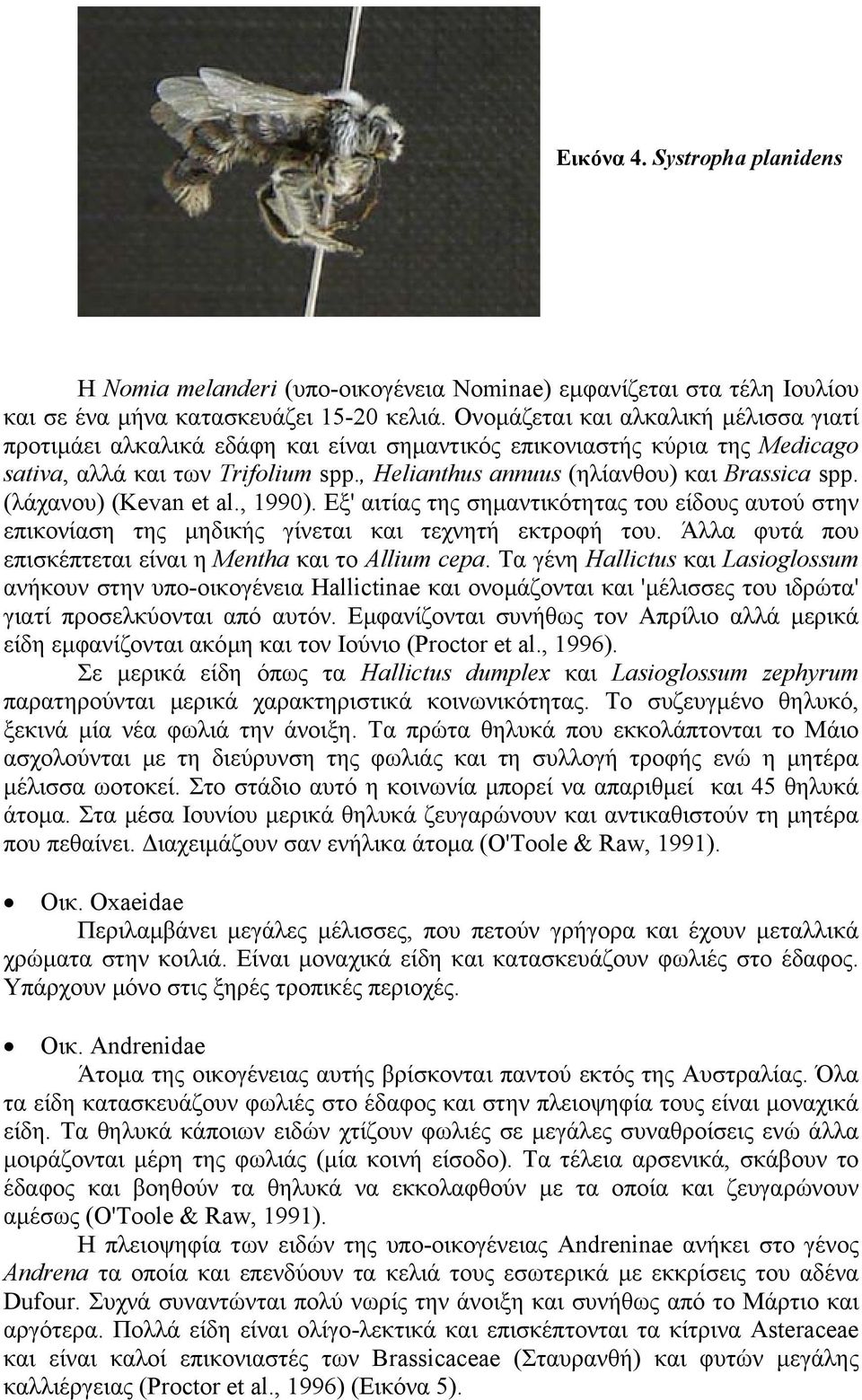 (λάχανου) (Kevan et al., 1990). Εξ' αιτίας της σηµαντικότητας του είδους αυτού στην επικονίαση της µηδικής γίνεται και τεχνητή εκτροφή του.