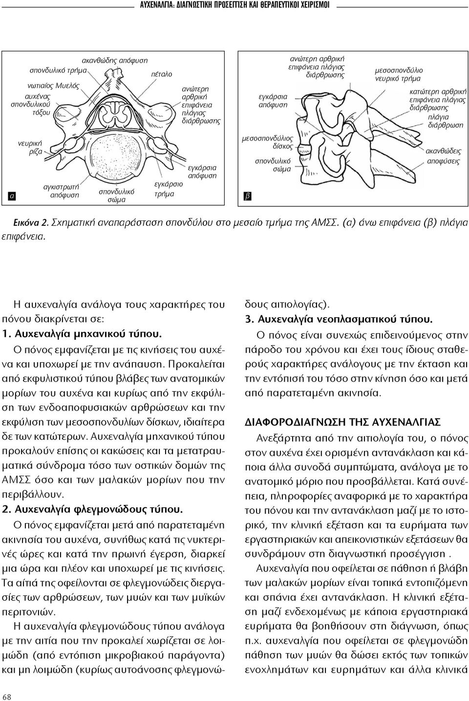νευρικό τρήμα κατώτερη αρθρική επιφάνεια πλάγιας διάρθρωσης πλάγια διάρθρωση ακανθώδεις αποφύσεις Εικόνα 2. Σχηματική αναπαράσταση σπονδύλου στο μεσαίο τμήμα της ΑΜΣΣ.