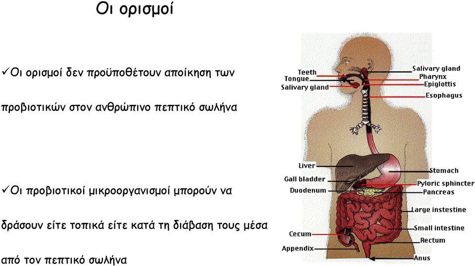 προβιοτικοί μικροοργανισμοί μπορούν να δράσουν είτε