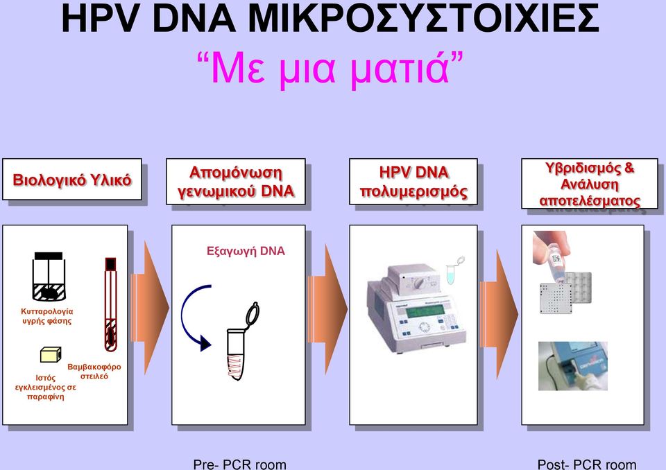 απνηειέζκαηνο Δμαγσγή DNA Κπηηαξνινγία πγξήο θάζεο