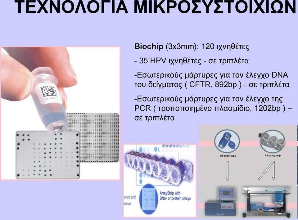 ηνπ δείγκαηνο ( CFTR, 892bp ) - ζε ηξηπιέηα -Δζσηεξηθνύο κάξηπξεο