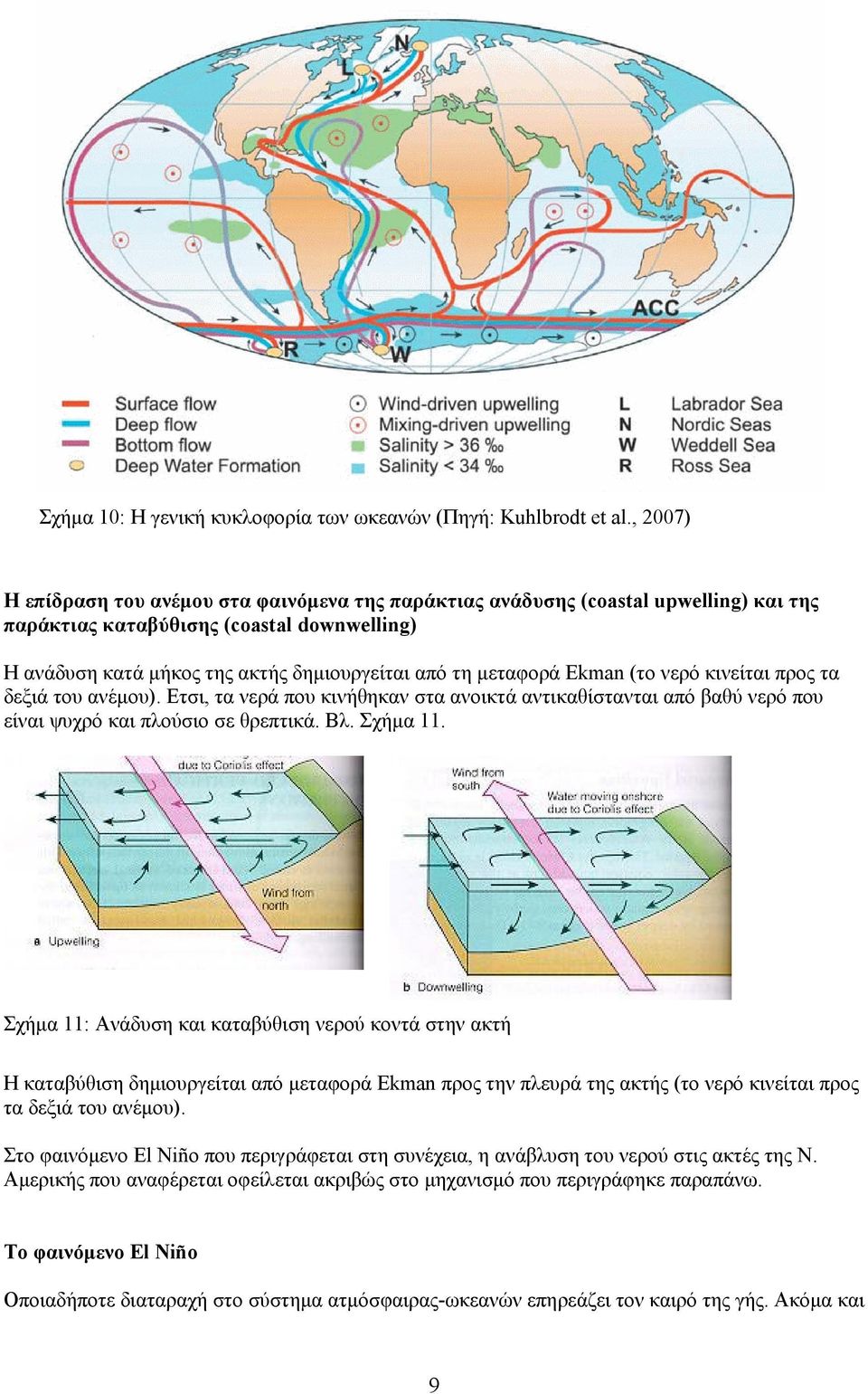 Ekman (το νερό κινείται προς τα δεξιά του ανέμου). Ετσι, τα νερά που κινήθηκαν στα ανοικτά αντικαθίστανται από βαθύ νερό που είναι ψυχρό και πλούσιο σε θρεπτικά. Βλ. Σχήμα 11.