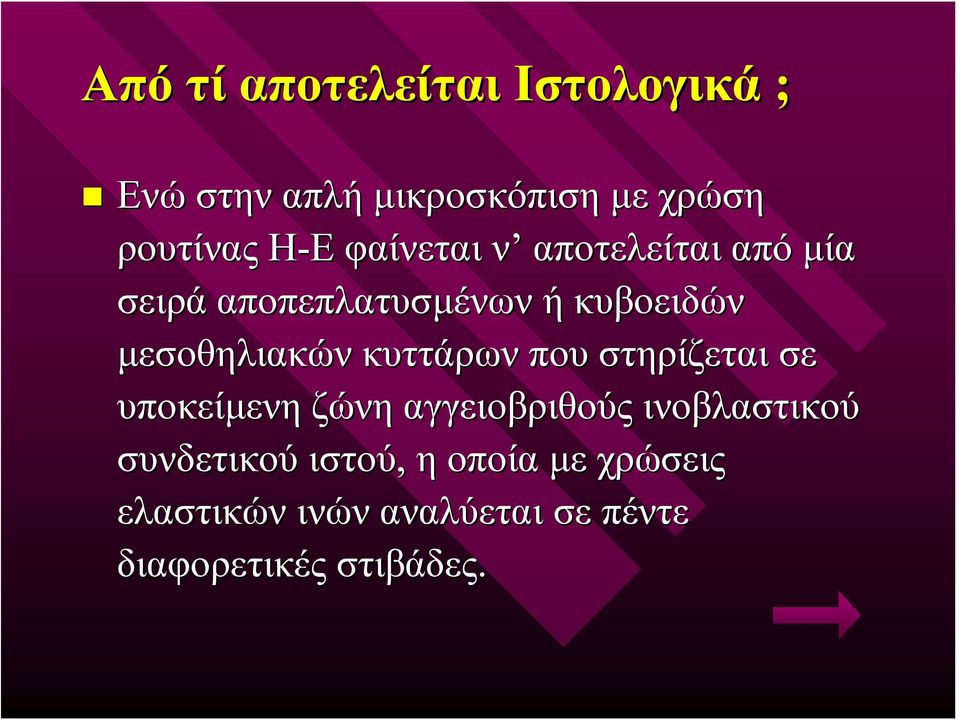 μεσοθηλιακών κυττάρων που στηρίζεται σε υποκείμενη ζώνη αγγειοβριθούς