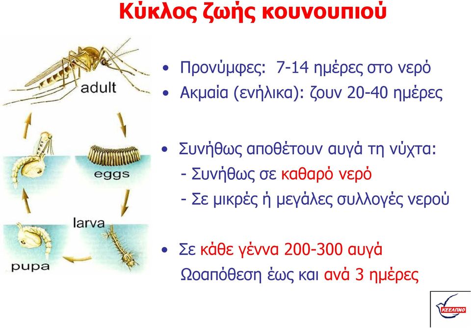 τη νύχτα: - Συνήθως σε καθαρό νερό - Σε μικρές ή μεγάλες