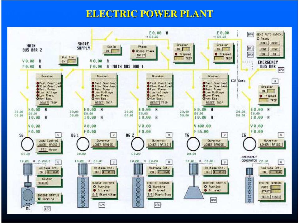 PLANT 20