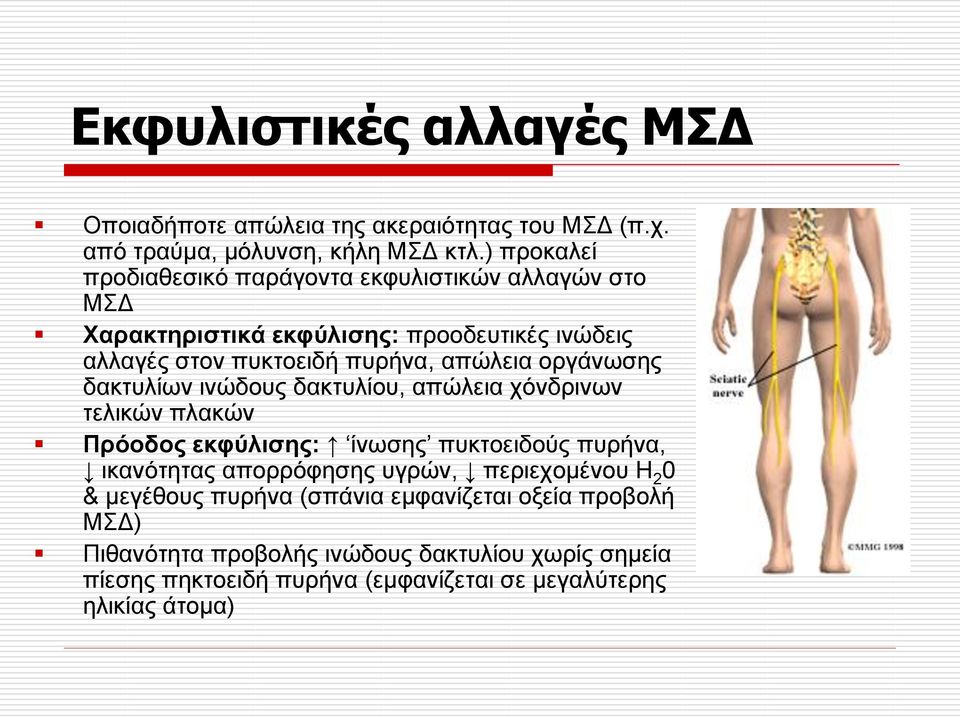 νξγάλσζεο δαθηπιίσλ ηλώδνπο δαθηπιίνπ, απώιεηα ρόλδξηλσλ ηειηθώλ πιαθώλ Πξόνδνο εθθύιηζεο: ίλσζεο ππθηνεηδνύο ππξήλα, ηθαλόηεηαο απνξξόθεζεο πγξώλ,