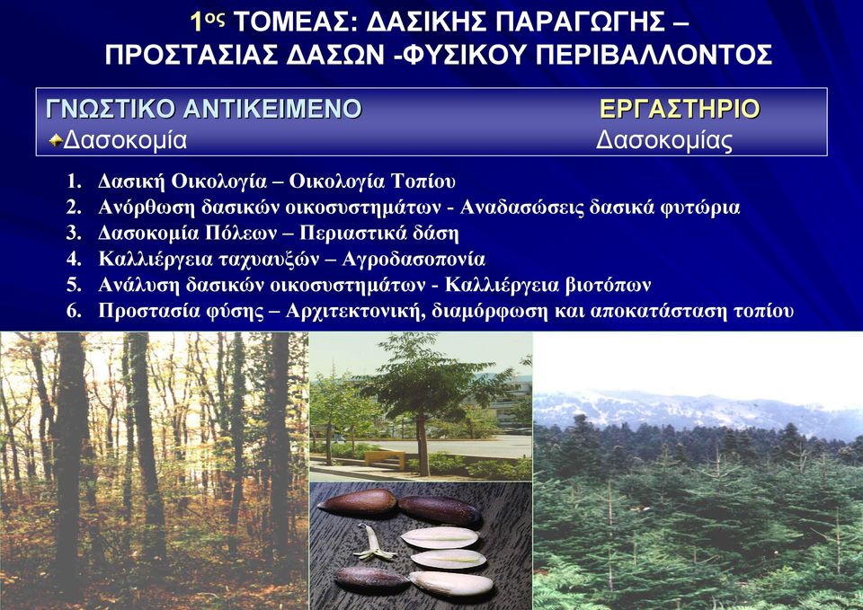 Ανόρθωση δασικών οικοσυστημάτων - Αναδασώσεις δασικά φυτώρια 3. Δασοκομία Πόλεων Περιαστικά δάση 4.