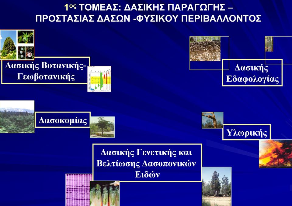 Γεωβοτανικής Δασικής Εδαφολογίας Δασοκομίας