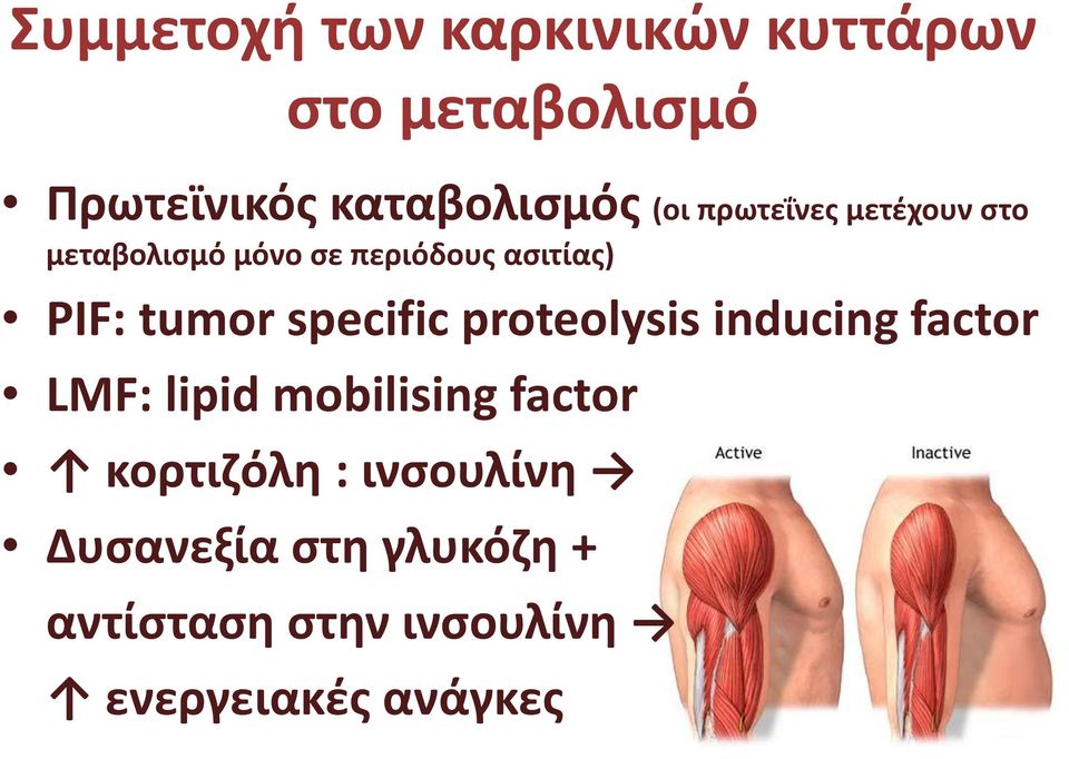 specific proteolysis inducing factor LMF: lipid mobilising factor κορτιζόλη