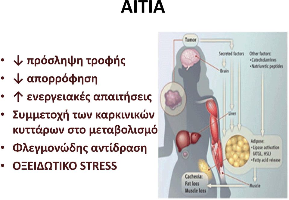 καρκινικών κυττάρων στο μεταβολισμό