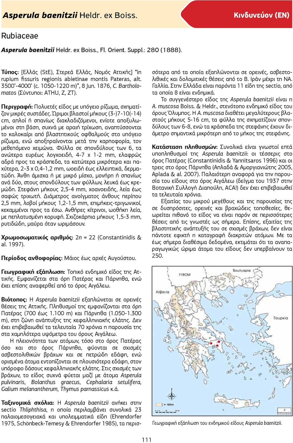 Περιγραφή: Πολυετές είδος με υπόγειο ρίζωμα, σχηματίζον μικρές συστάδες.