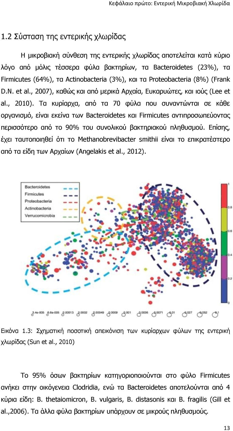 Actinobacteria (3%), και τα Proteobacteria (8%) (Frank D.N. et al., 2007), καθώς και από μερικά Αρχαία, Ευκαρυώτες, και ιούς (Lee et al., 2010).