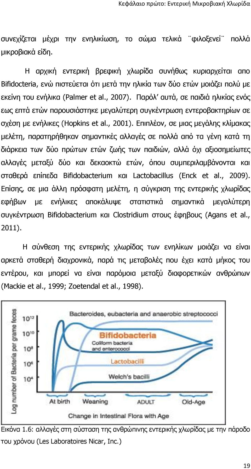 Παρόλ αυτά, σε παιδιά ηλικίας ενός εως επτά ετών παρουσιάστηκε μεγαλύτερη συγκέντρωση εντεροβακτηρίων σε σχέση με ενήλικες (Hopkins et al., 2001).