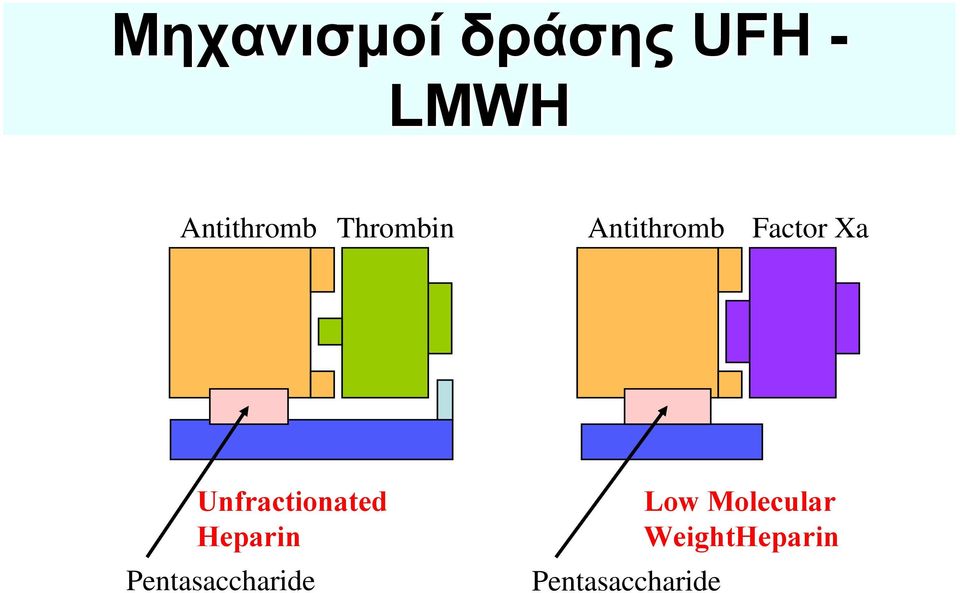 Unfractionated Heparin Pentasaccharide