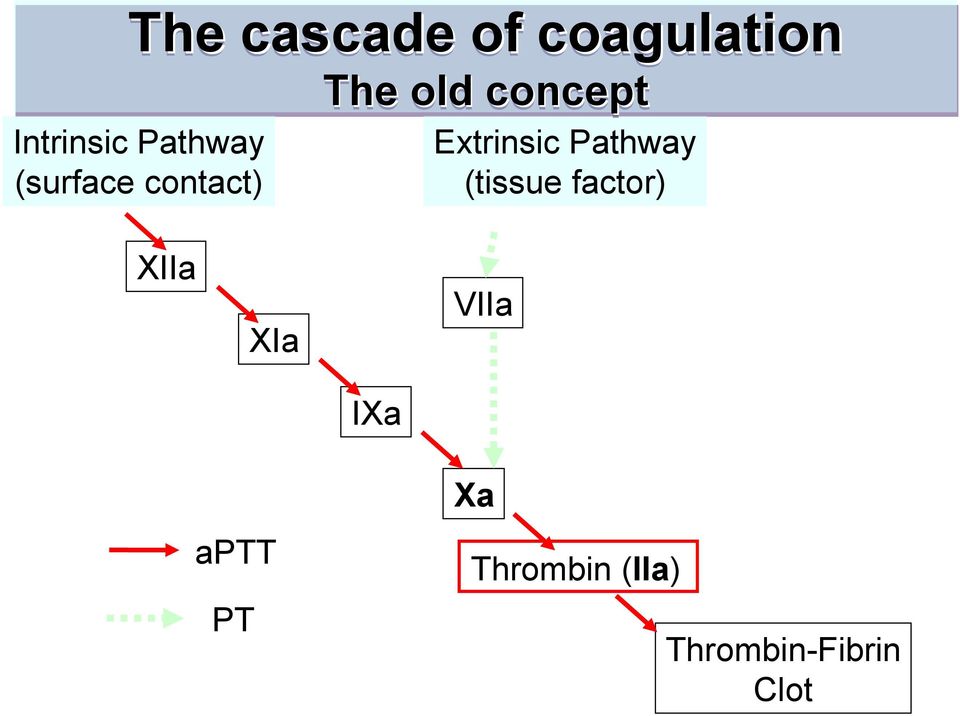 Pathway (tissue factor) XIIa XIa VIIa IXa